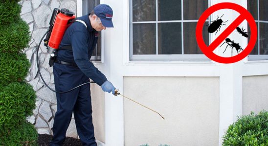 Eceabat Böcek ve Haşere İlaçlama böcek ilaçlama ve haşere kontrolü — ilaclama-tr.com